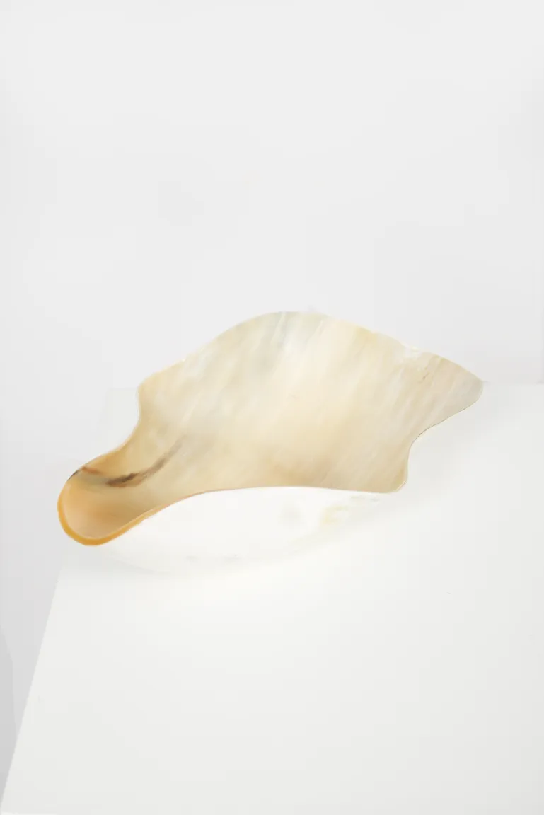 Ankole & Gyr Horn Organic Vessel