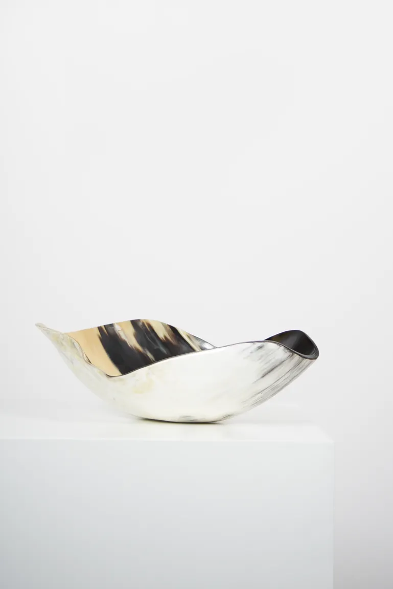 Ankole & Gyr Horn Organic Vessel