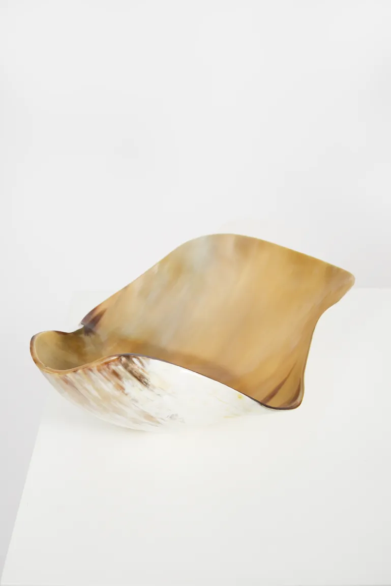 Ankole & Gyr Horn Organic Vessel