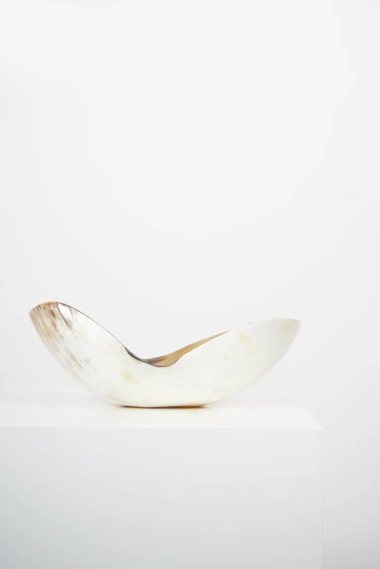 Ankole & Gyr Horn Organic Vessel