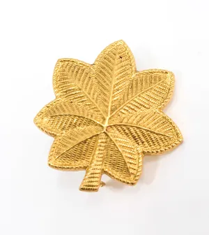 Army officer Lieutenant Colonel U.S. Military G22 gold silver toned pin