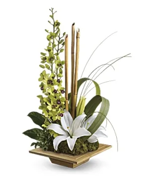 Bamboo Style