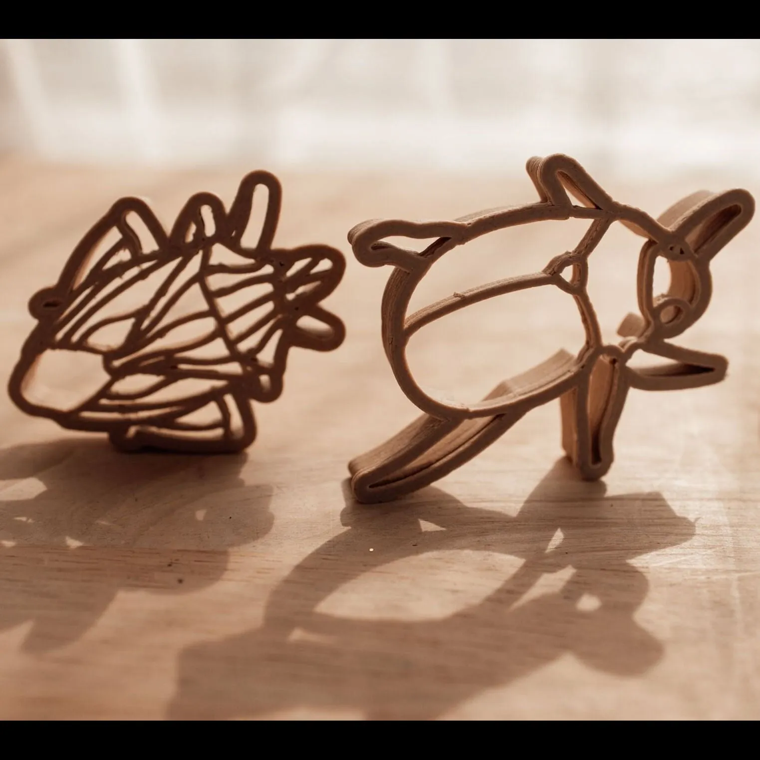 Christmas Beetle and Shield Bug Eco Cutter Set