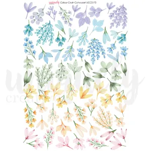 Colour Crush Cut a Part Sheet UCCS173 Uniquely Creative