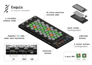 Exquis