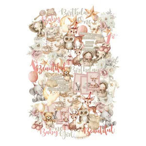 Hello Darling Creative Cuts - Coral UCP2867