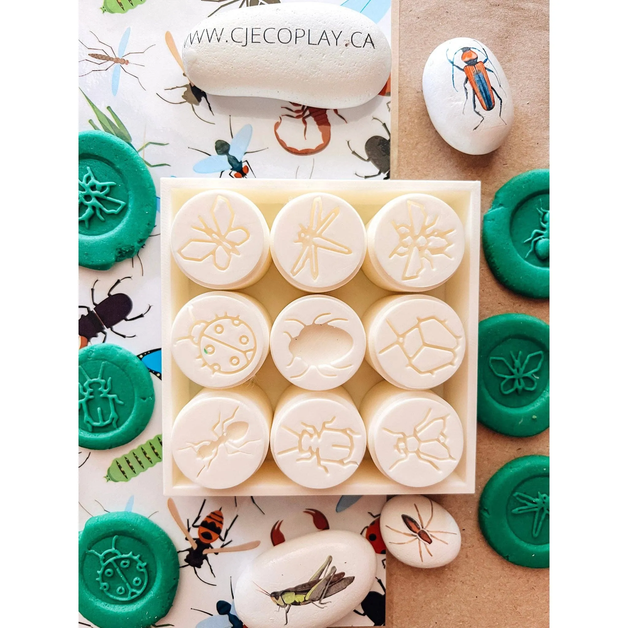 Insect/Bug EcoStamp Collection