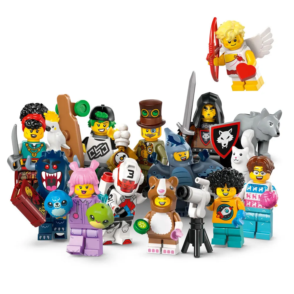 LEGO Minifigures Series 27 - 71048