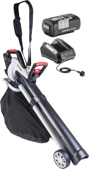 Masport 42V Blower Vac Lbv 4090 - Kit