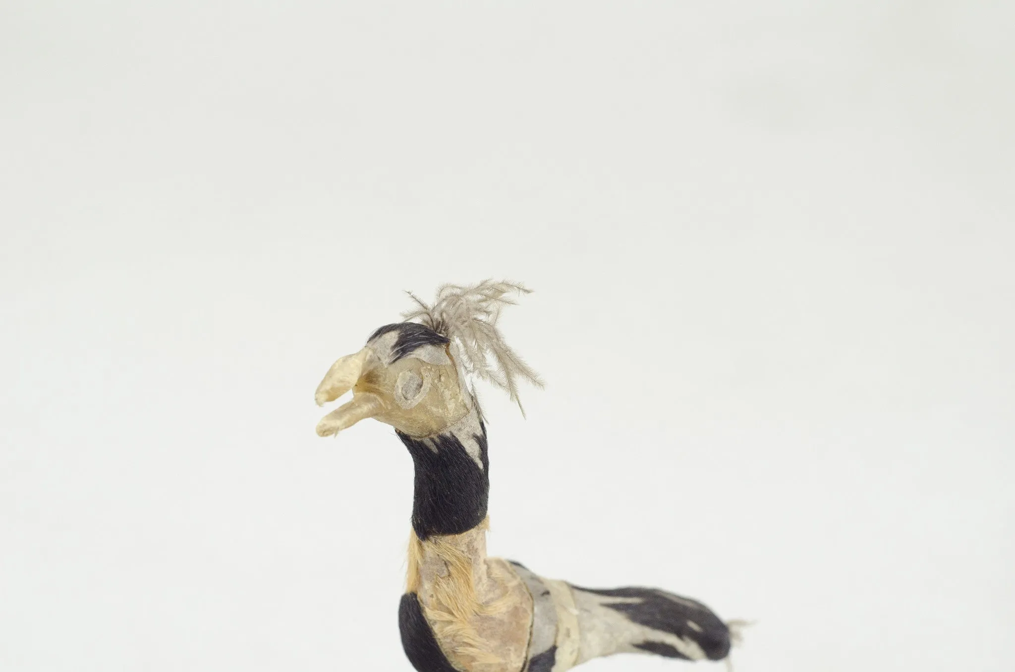 Mini Taxidermy Flamingo