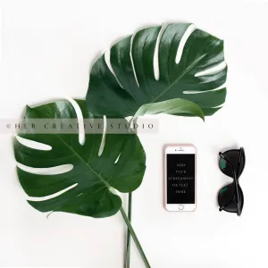 Montserra with Smartphone and Glasses