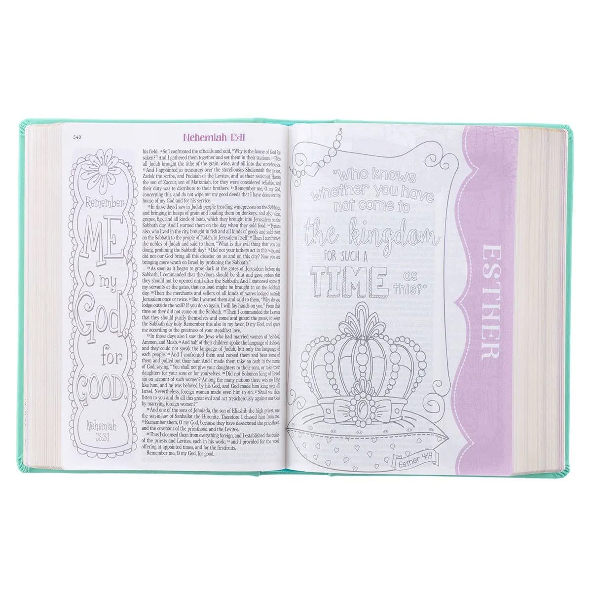 Teal Butterfly Hardcover My Creative Bible for Girls - an ES