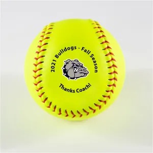 Team Logo with Personalization, Printed Softball